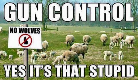 gun control -- like sheep.jpg